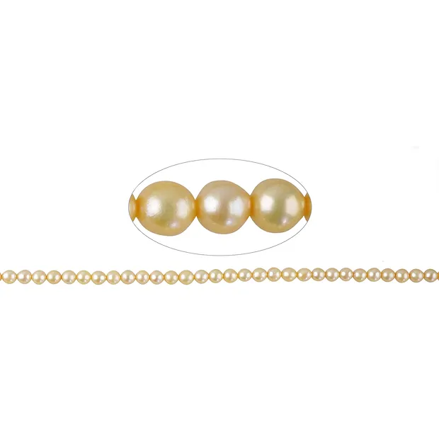 Filo tondo, perla d'acqua dolce, color Oro chiaro, 03,5 - 04 mm (38 cm) | Marco Schreier