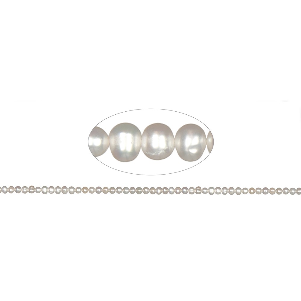 Round strand, freshwater pearl white-cream, 04 - 04.5mm | Marco Schreier