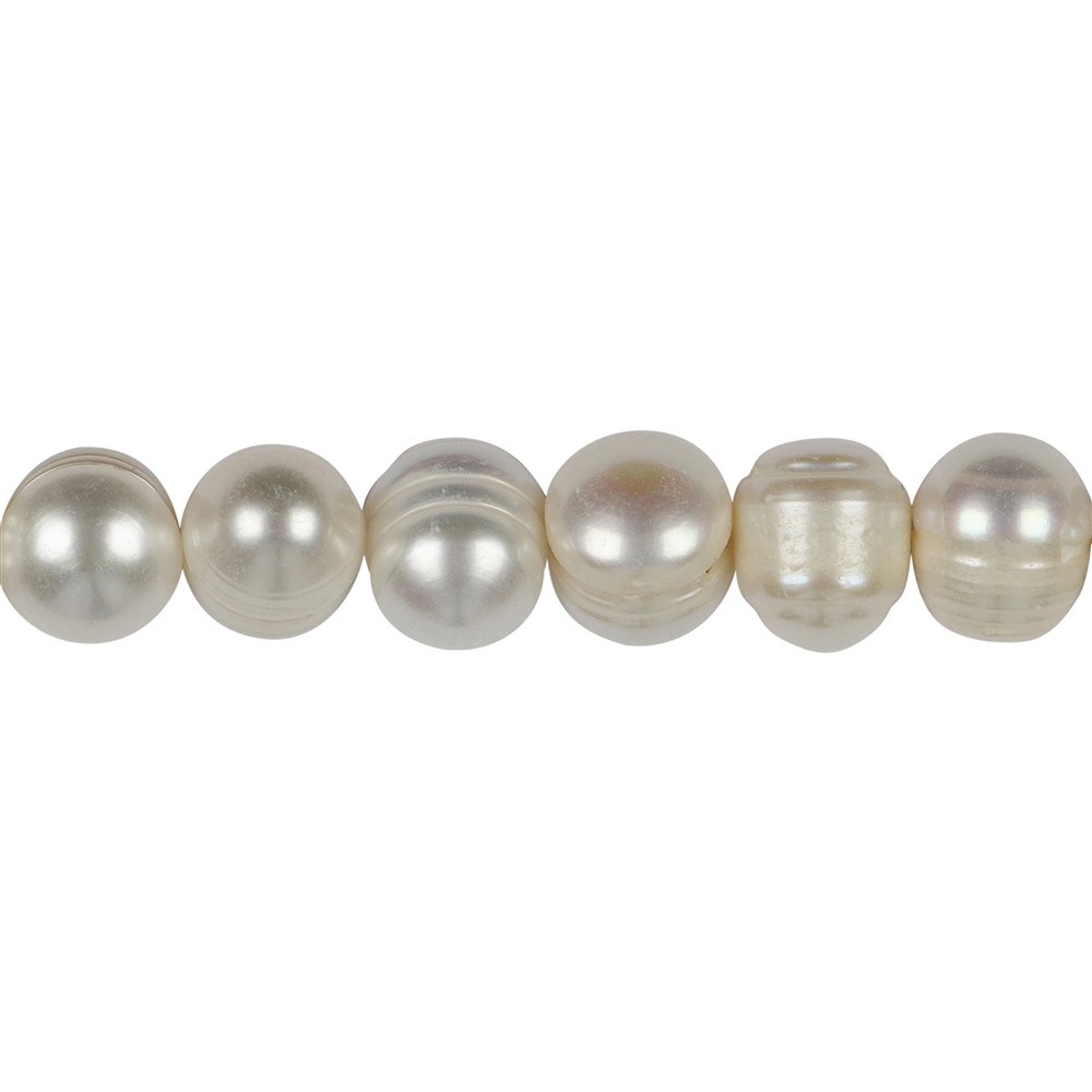 Rang de collier rond, perle d'eau douce AB, crème-blanc (naturel), 10mm (35cm) | Marco Schreier