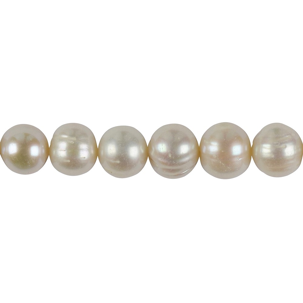 Rang de colliers rond, perle d'eau douce A, blanche, 12-15mm, avec dégradé | Marco Schreier