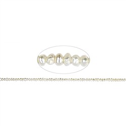 141840301720 Rang de colliers Boutons, perle d'eau douce, 03,5 - 04mm | Marco Schreier