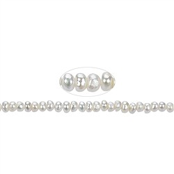 141840302040 Filo di patate, perle d'acqua dolce, bianco crema, 02 x 02-03 mm (37 cm) | Marco Schreier