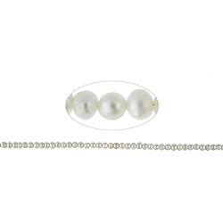 141840303013 Strang Button, Süßwasser-Perle AB, weiß, 03-04 x 04mm (39cm) | Marco Schreier