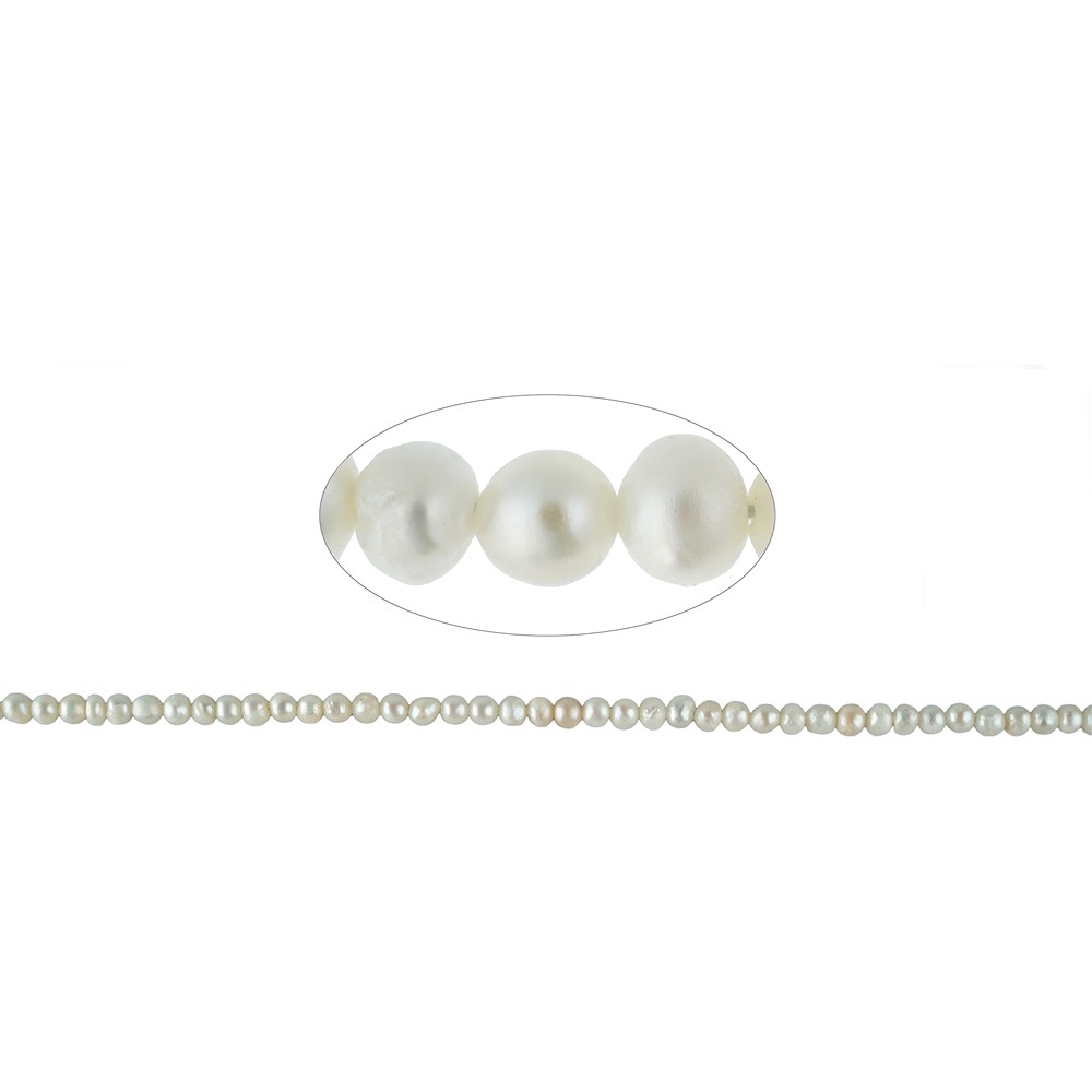 Strang Button, Süßwasser-Perle AB, weiß, 03-04 x 04mm (39cm) | Marco Schreier