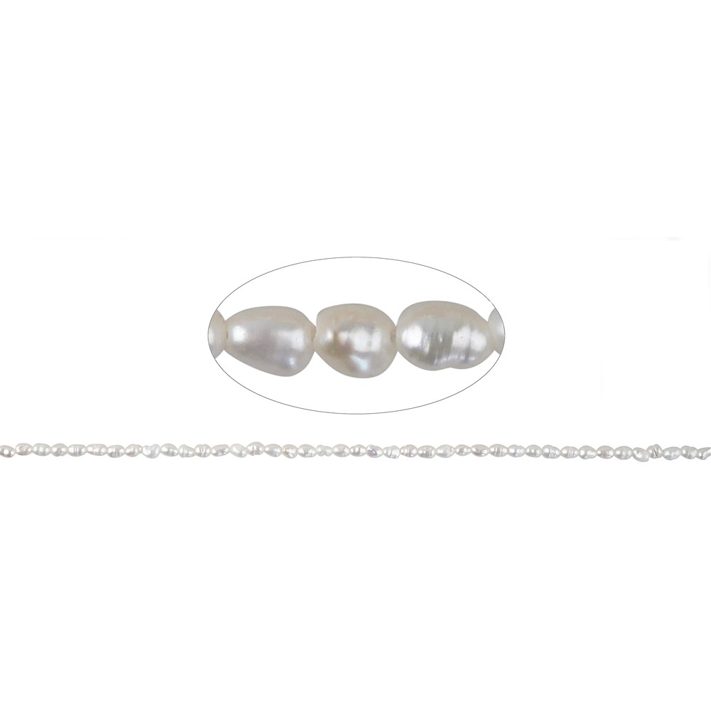 Strand of Rice Grain, Freshwater Pearl, White-Cream, 02.0–02.5 mm | Marco Schreier