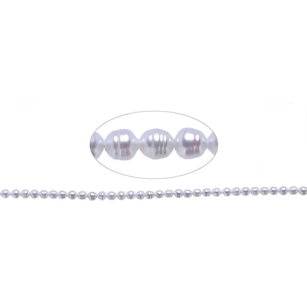 Strang Reiskorn, Süßwasser-Perle, silbergrau (gef.), 05 x 04mm (39cm) | Marco Schreier