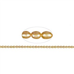 141840405314 Hebra de perla de agua dulce, grano de arroz, amarillo dorado (te&#xF1;ido), 06-07 x 05-06mm | Marco Schreier