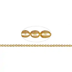 141840405314 Strand of rice grain, freshwater pearl, golden yellow (dyed), 06-07 x 05-06mm | Marco Schreier