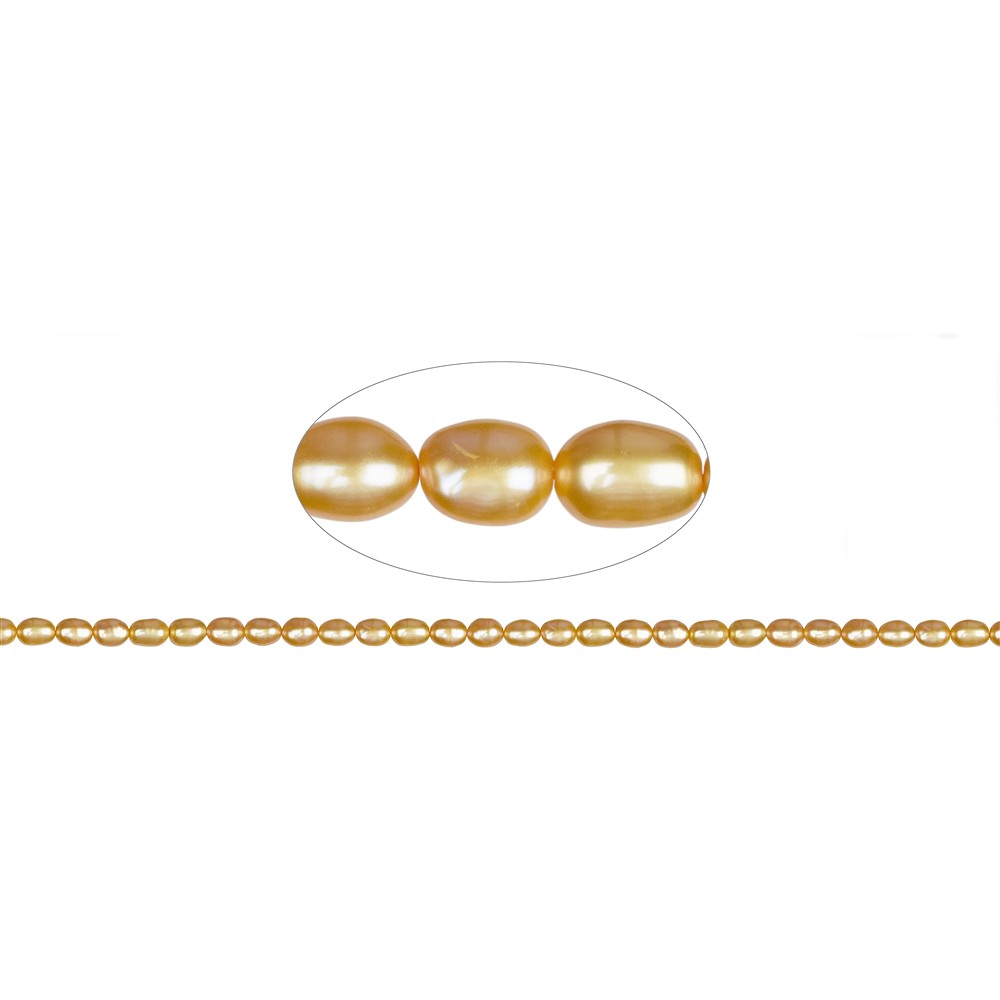 Rang de collier grain de riz, perle d'eau douce, jaune d'or (teintée), 06-07 x 05-06mm | Marco Schreier