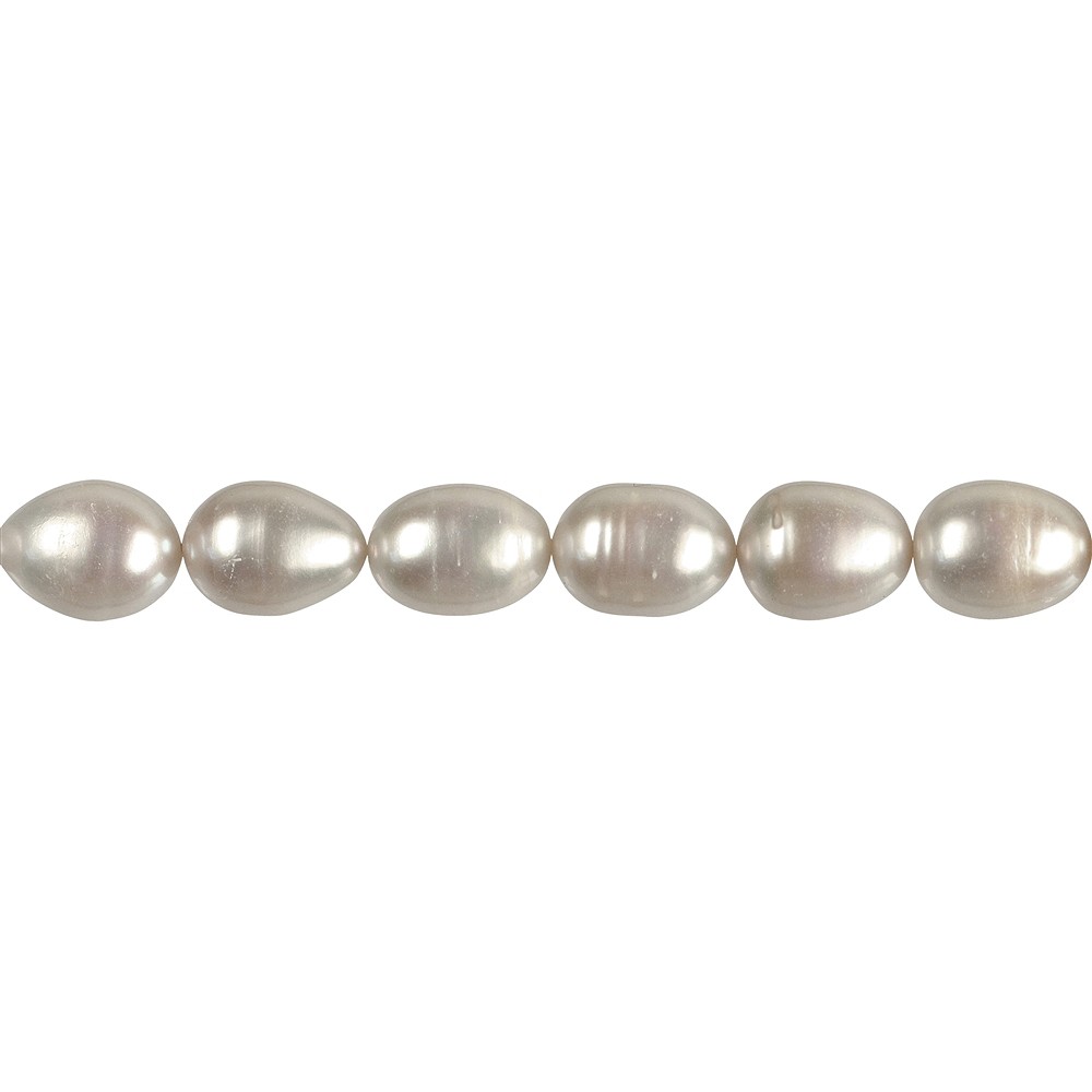 Strang Reiskorn, Süßwasser-Perle, weiß-creme, 12 - 14mm (37cm) | Marco Schreier