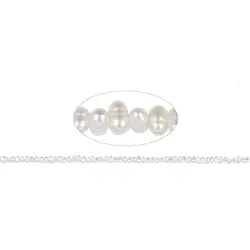 141840501014 Strang Button/Freeform, Süßwasser-Perle A, weiß, 02-03mm | Marco Schreier