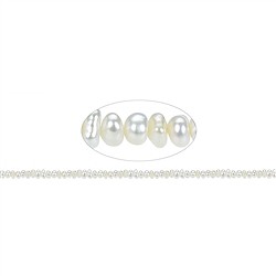 141840502013 Rang de colliers Boutons, perle d'eau douce AB, blanc, 02-03 x 03-04mm | Marco Schreier