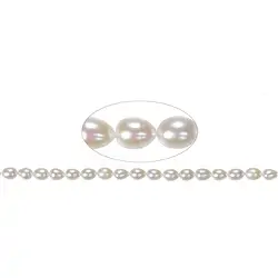 141840612044 Filo a goccia, perla d'acqua dolce, bianco-crema, 08 - 09 mm | Marco Schreier