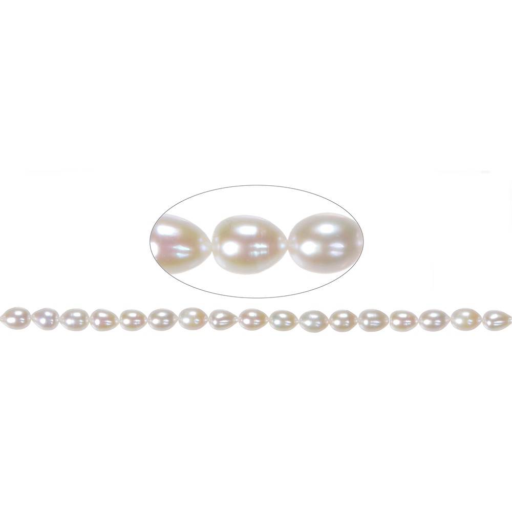 Drop strand, freshwater pearl, white-cream, 08 - 09mm | Marco Schreier