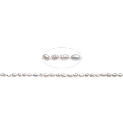 14184110442 Filo Keshi, perla d&#x27;acqua dolce AB, bianco crema, 09 - 12 mm (39 cm) | Marco Schreier