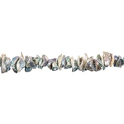 141841122144 Strang Keshi, Süßwasser-Perle, silbergrau (natur), ca. 02-03 x 10-12mm | Marco Schreier