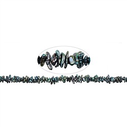 141841124354 Strang Keshi, Süßwasser-Perle A, petrol-bunt (gef.), ca. 02-04 x 05-06mm | Marco Schreier