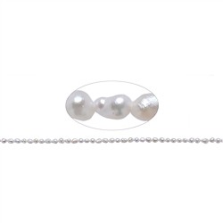 141841502010 Filo di arachidi, perla d&#x27;acqua dolce, bianco-crema, 04 x 02,5-03 mm | Marco Schreier