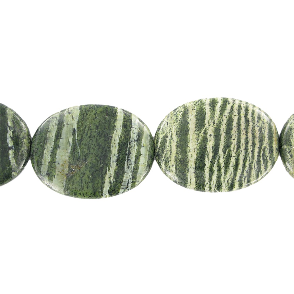 Strand Lense, Serpentine (Silver Eye), 40x30mm | gems, healing stones & jewelry