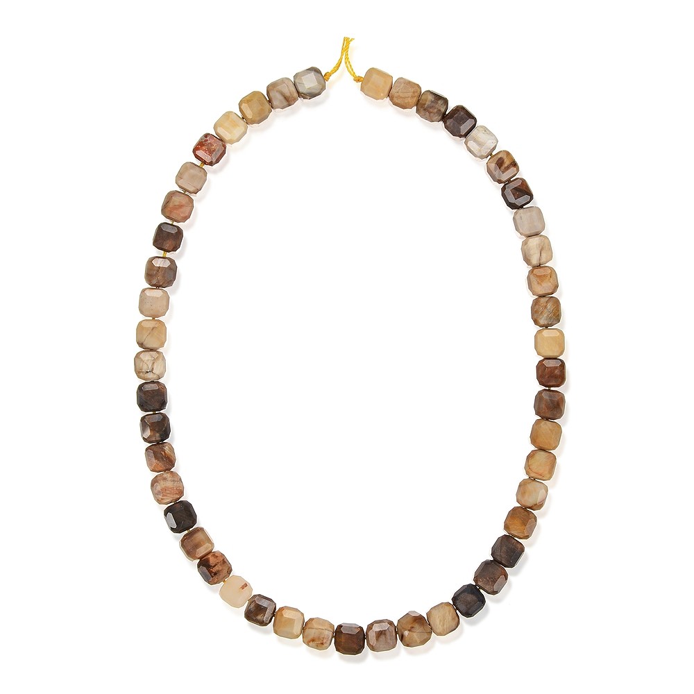 Strand of cubes, Petrified Wood, 08 x 08 x 08mm, faceted | Marco Schreier