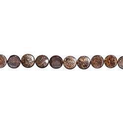 141940308320 Coin strand, Bronzite, 16 x 06mm | wholesaler gems, healing stones & jewelry