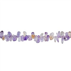 141990606296 Filo di pepite "dente", Ametrina, 04 x 06 mm | grossista gemme e pietre curative