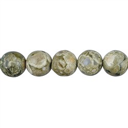 142060101120 Rang de collier boules, Rhyolite (Jaspe des for&#xEA;ts tropicales), 14mm | Marco Schreier