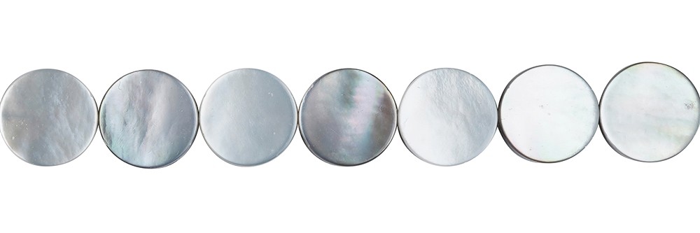 Coin strand, Mother of Pearl (dark), 08mm | wholesaler gems &amp; healing stones