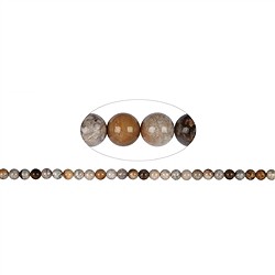 142450100520 String Beads, Petrified Coral, 06mm | wholesaler gems, healing stones &amp; jewelry