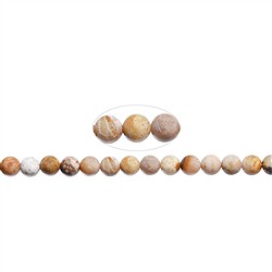 142450100720 Rang de colliers boules, Corail fossilis&#xE9;, 08mm | Marco Schreier