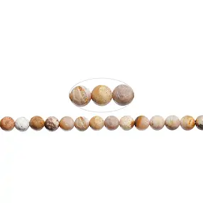 String Beads, Petrified Coral, 08mm | wholesaler gems, healing stones & jewelry