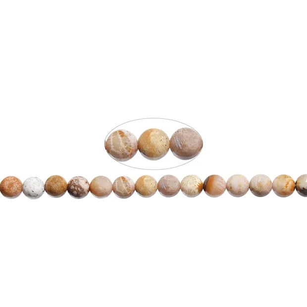 Strang Kugeln, versteinerte Koralle, 08mm | GH Edelsteine, Heilsteine & Schmuck