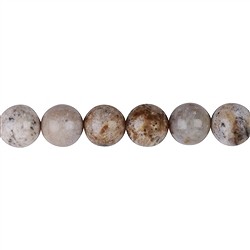 142450101020 Rang de colliers boules, Corail fossilis&#xE9;, 12mm | Marco Schreier
