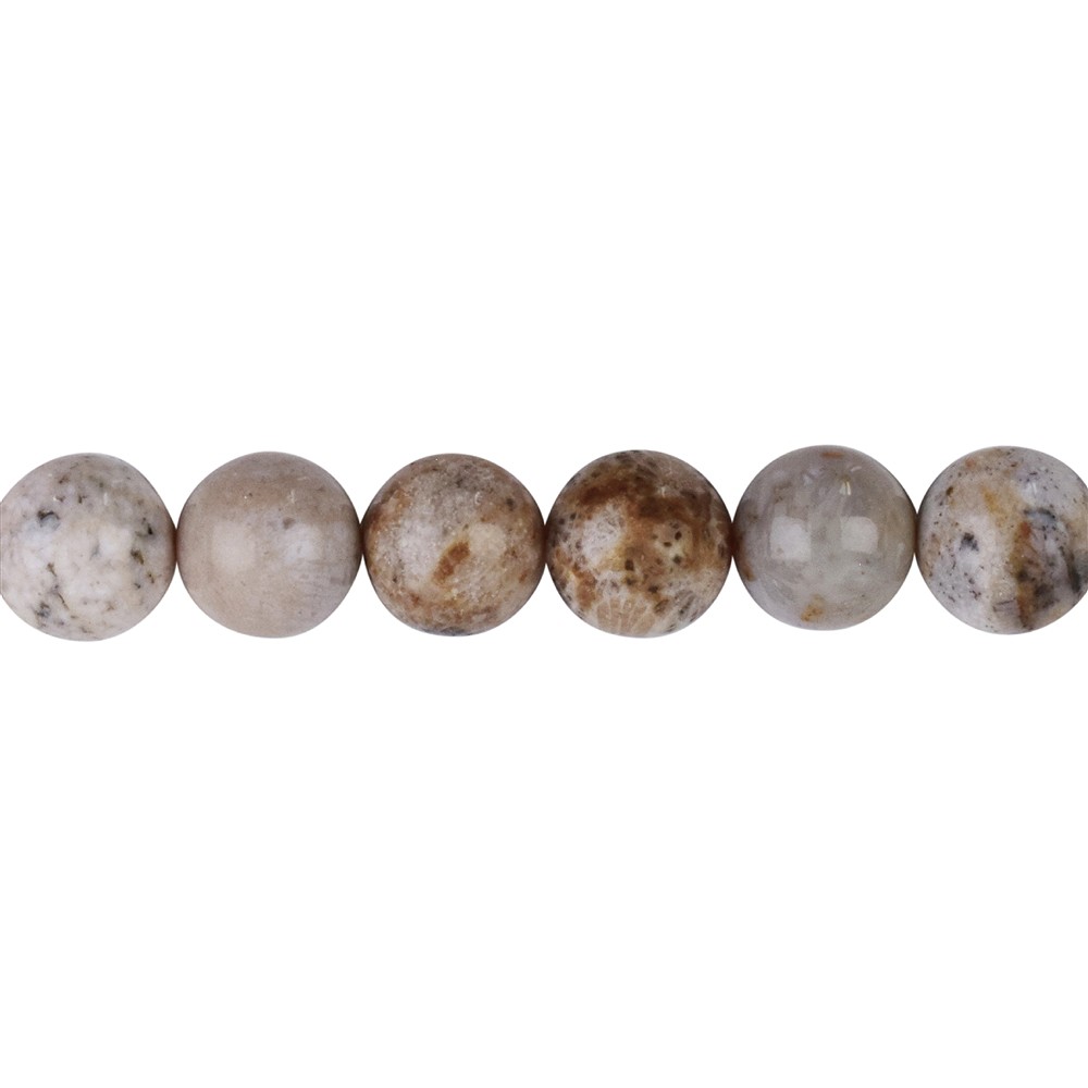 String Beads, Petrified Coral, 12mm | wholesaler gems, healing stones & jewelry
