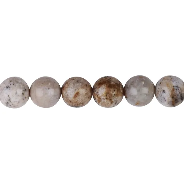 Rang de colliers boules, Corail fossilisé, 12mm | Marco Schreier