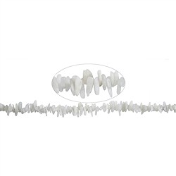 142680609826 Rang de colliers Nuggets "dent", labradorite (claire), 02-05 x 10-14mm | Marco Schreier