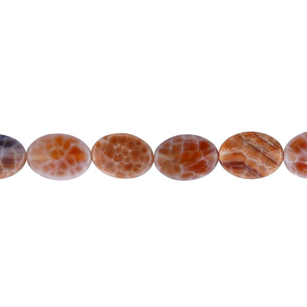 Rang de collier, Agate (serpentine) orange (teintée), 18 x 13mm, à facettes | Marco Schreier