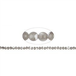 144580100520 Cuentas preciosas, Madre Perla (Nácar), 06mm | Marco Schreier