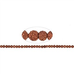 145250100500 Strang Kugeln, Rudraksha (rotbraun), 06mm | GH Edelsteine, Heilsteine & Schmuck