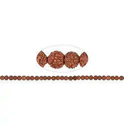 145250100500 Rang de colliers boules, Rudraksha (brun rouge), 06mm | Marco Schreier