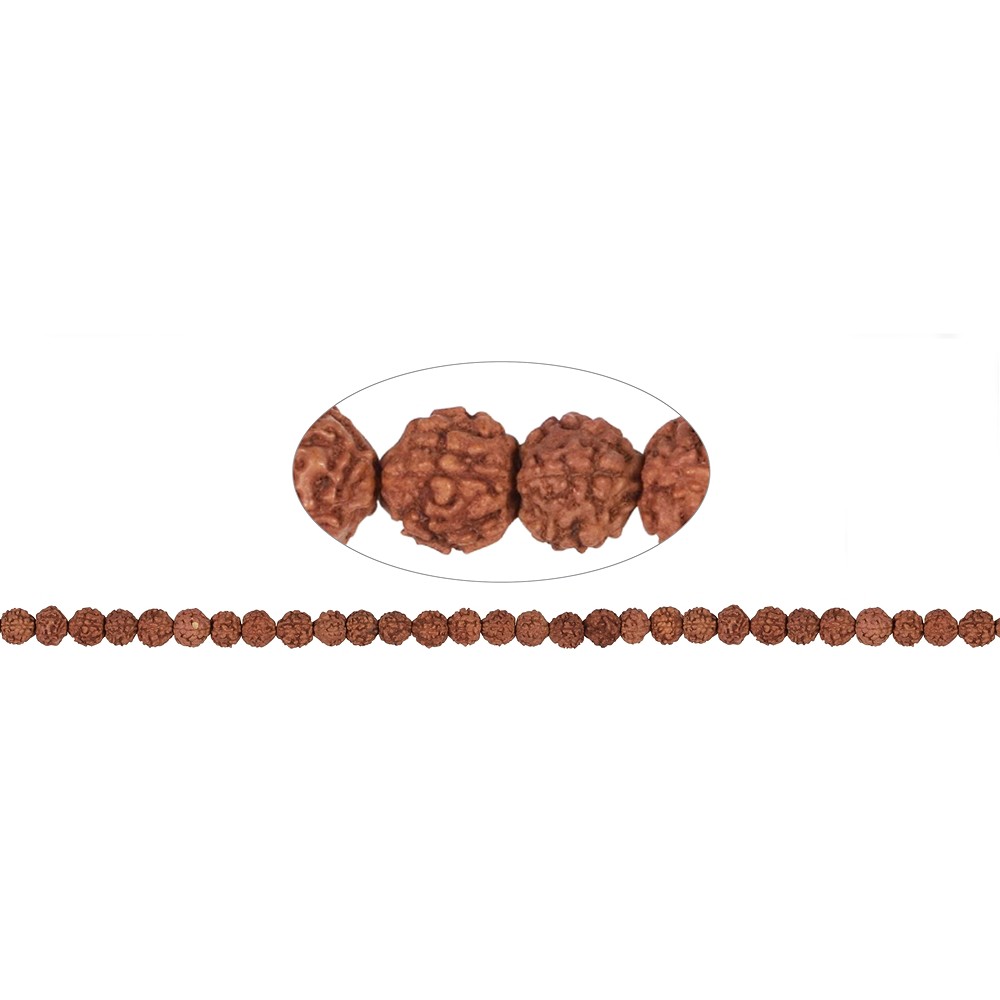 Fili di perline, Rudraksha (rosso-marrone), 06 mm | Marco Schreier