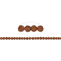 145250100700 Strang Kugeln, Rudraksha (rotbraun), 07-08mm | Edelsteine, Heilsteine &amp; Schmuck