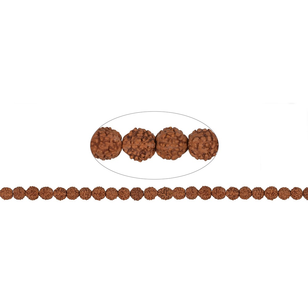 Rang de colliers boules, Rudraksha (brun rouge), 07-08mm | Marco Schreier
