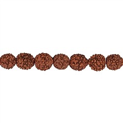 145250100900 Strang Kugeln, Rudraksha (rotbraun), 10mm  | Edelsteine, Heilsteine &amp; Schmuck