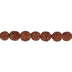 145250100900 Rang de colliers boules, Rudraksha (brun rouge), 10mm  | Marco Schreier