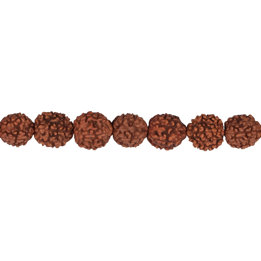 Rang de colliers boules, Rudraksha (brun rouge), 10mm  | Marco Schreier