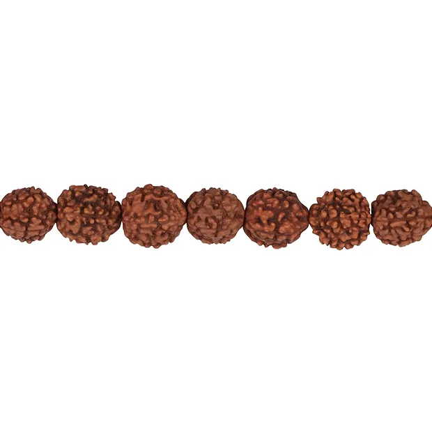 Filo di perline, Rudraksha (rosso-marrone), 10 mm | Marco Schreier