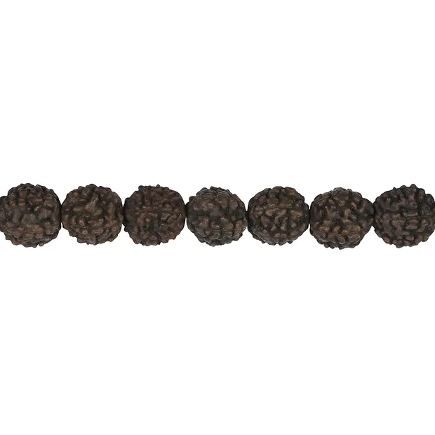 String Beads, Rudraksha (black-brown), 10mm | wholesaler gems & healing stones
