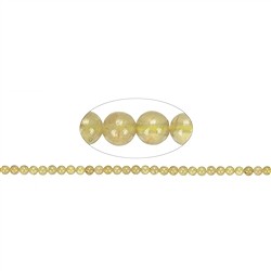 145660100520 Filo di perle, Apatite (giallo), 04 mm | grossista gemme e pietre curative