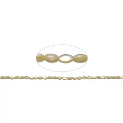 145880513720 Filo di chicchi di riso, Madreperla (giallo), 05 x 03 mm | Marco Schreier